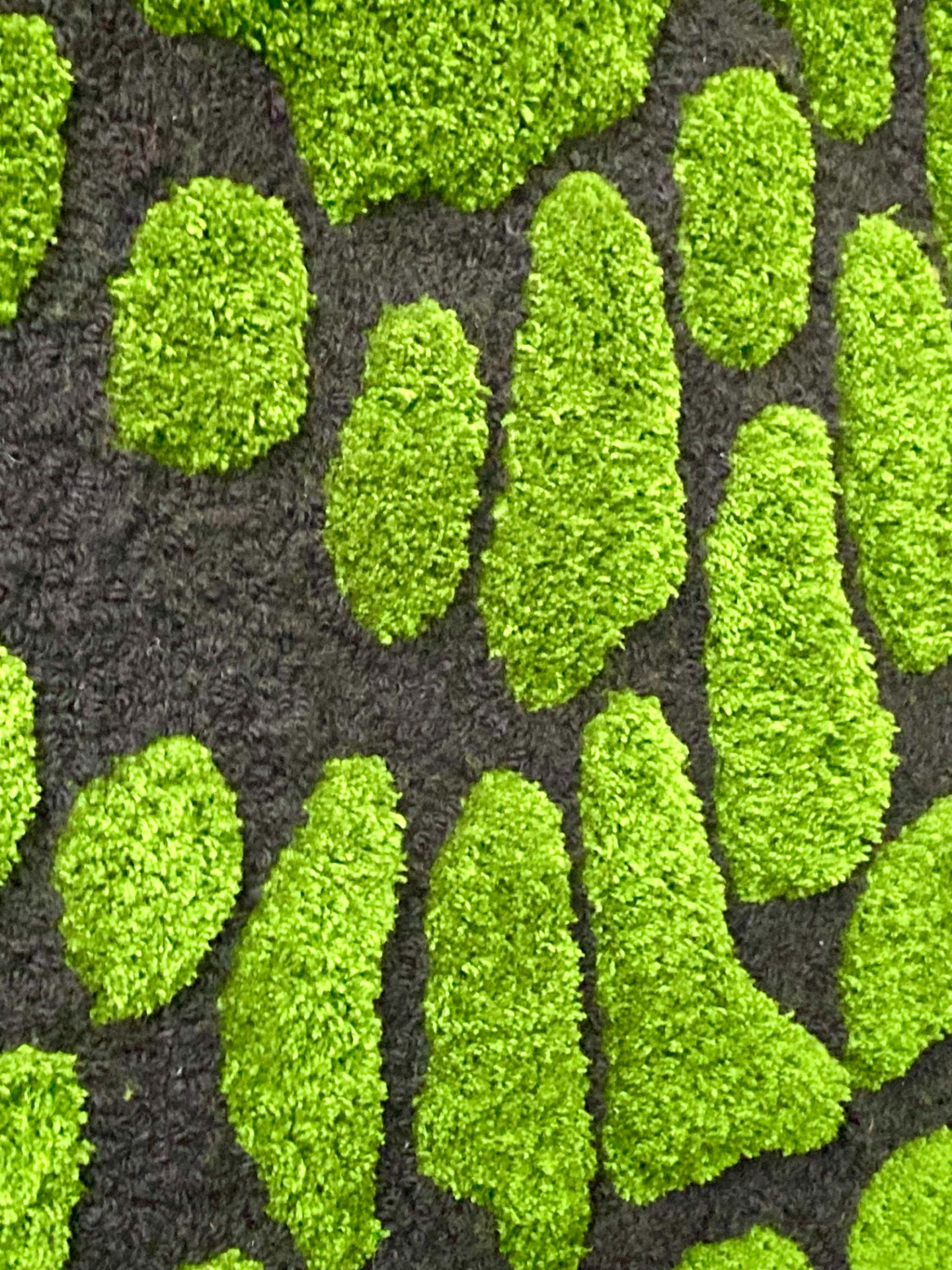 The Green one - LUGI