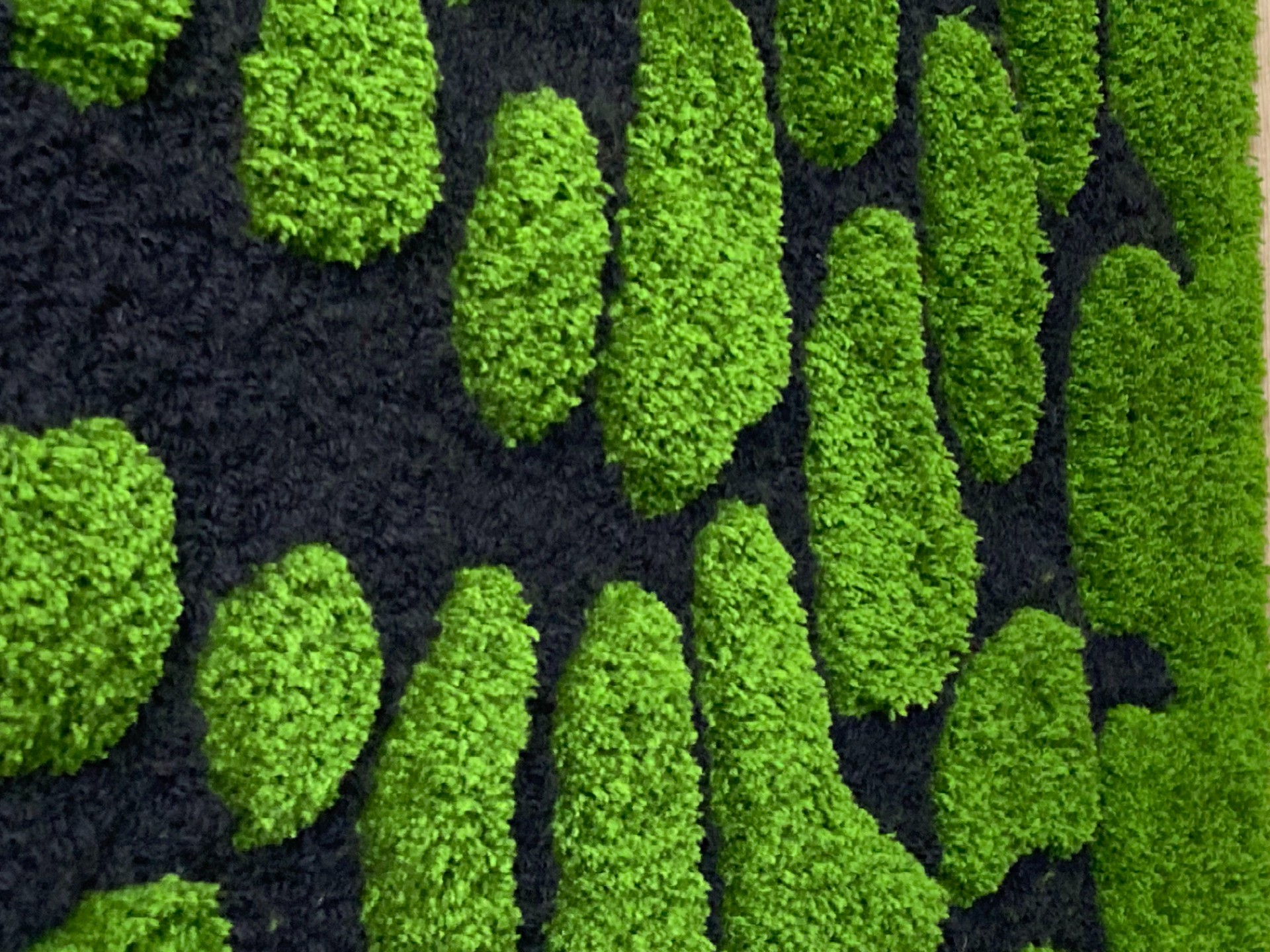 The Green one - LUGI